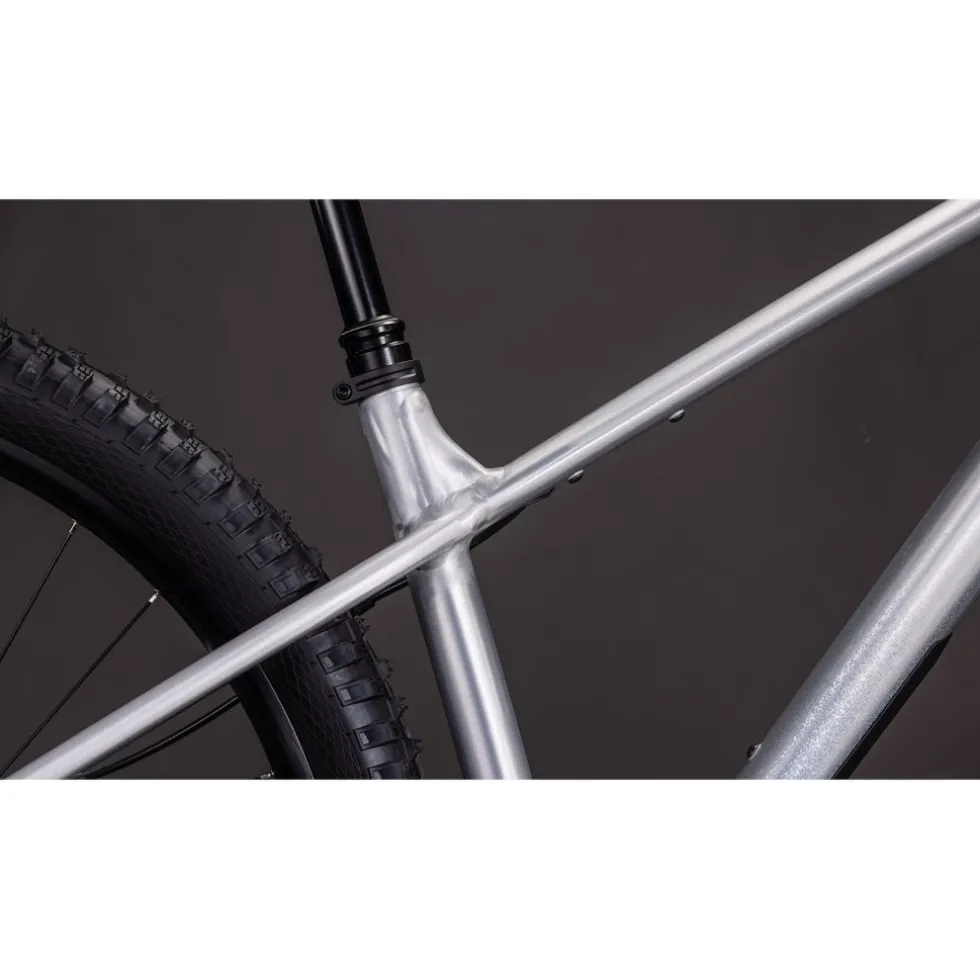 CUBE REACTION TM ONE - Mountainbike - 2026 - 29" - rawmetal / blue