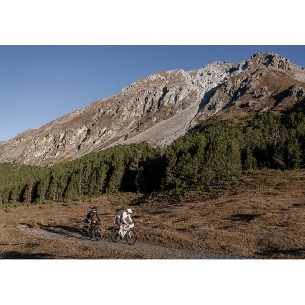 Cyclite Frame Bag Small / 02 Frametas - 1,4L - Zwart