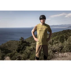 Dainese HgAER Short Heren - bruin