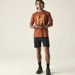 Dare 2b Movement III T-Shirt Heren - ZSY ArabianSpice