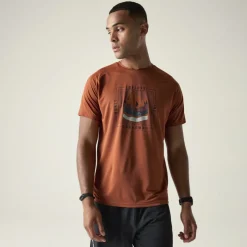 Dare 2b Tech II T-Shirt Heren - ZSY ArabianSpice