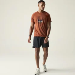 Dare 2b Tech II T-Shirt Heren - ZSY ArabianSpice