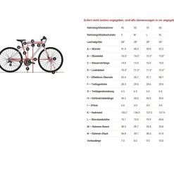 Diamant Rubin Super Legere Mens Touring Bike - deep black