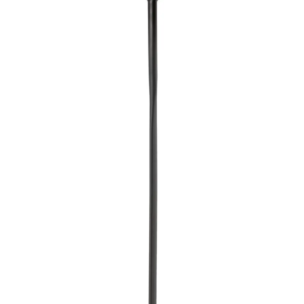 DT Swiss Aerolite Straightpull Spaken 2,0/2,3-0,9/2,0 - zwart