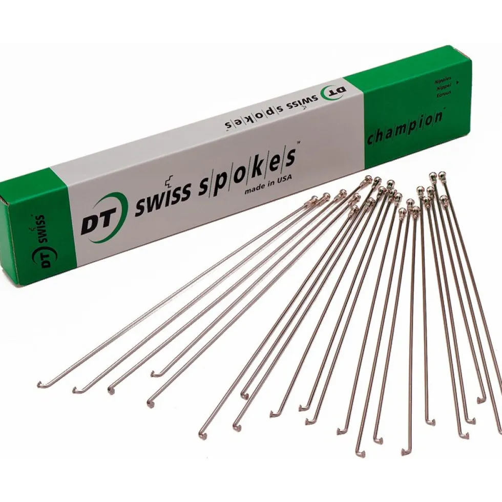 DT Swiss Champion Spaken 2,0 - zilver - 1 Stuk