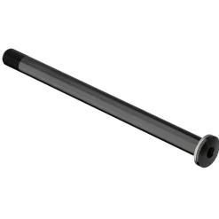 DT Swiss Plug In RWS E-Thru Road - 12x100mm - Steekas zonder Hendel
