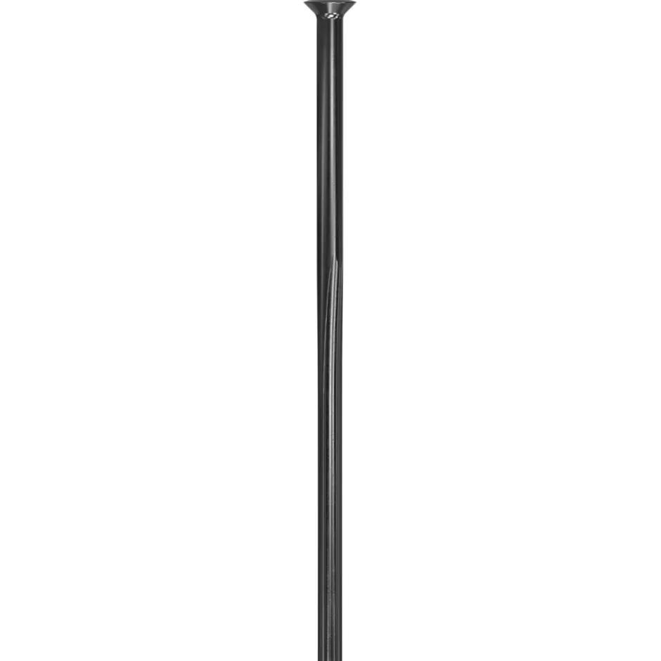Spaken En Nippels < DT Swiss Revolite Straightpull Spaken 2,0/1,58/2,0-1,3/2,3 - zwart