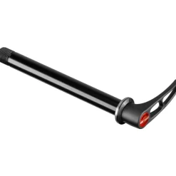 DT Swiss Steekas - RWS Road - 12x100mm - HWQASM00S2023S