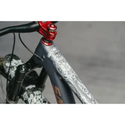 DYEDBRO Beschermfolie voor het Frame - Dream Catcher - white matte