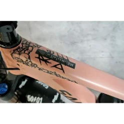 DYEDBRO Frame Protection Kit Ride or Die - black
