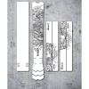 Stickers < Dyedbro Frame Protection Kit EWS Stormstatic - black matte