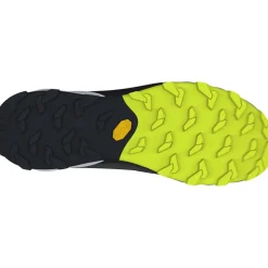 Dynafit Transalper 2 GTX Wandelschoenen Heren - Black Out/Nimbus