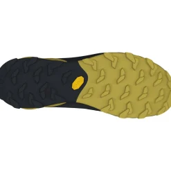Dynafit Transalper 2 Wandelschoenen Heren - Black Out/Atlantic