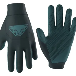 Dynafit Upcycled Thermal Handschoenen - Blueberry