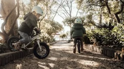 Early Rider Bigfoot 12 - 12
