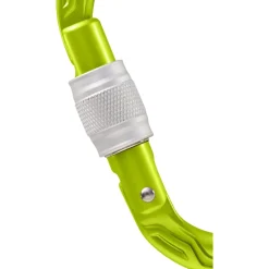 Edelrid Oval Power 2500 Screw II Karabijnhaak - oasis