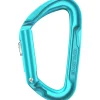 Edelrid Pure Slider Karabijnhaak - icemint