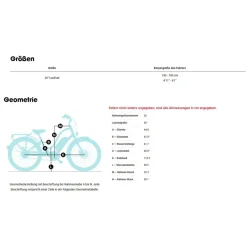 Elektrische Fietsen|Urban E-Bikes < Electra Townie Go! 5i Step-Thru - 26" City E-Bike - 2025 - matte violet fade