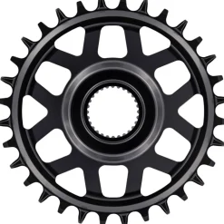 e*thirteen Helix Race e*spec - Direct Mount Kettingblad - Bosch - 15mm Offset - zwart
