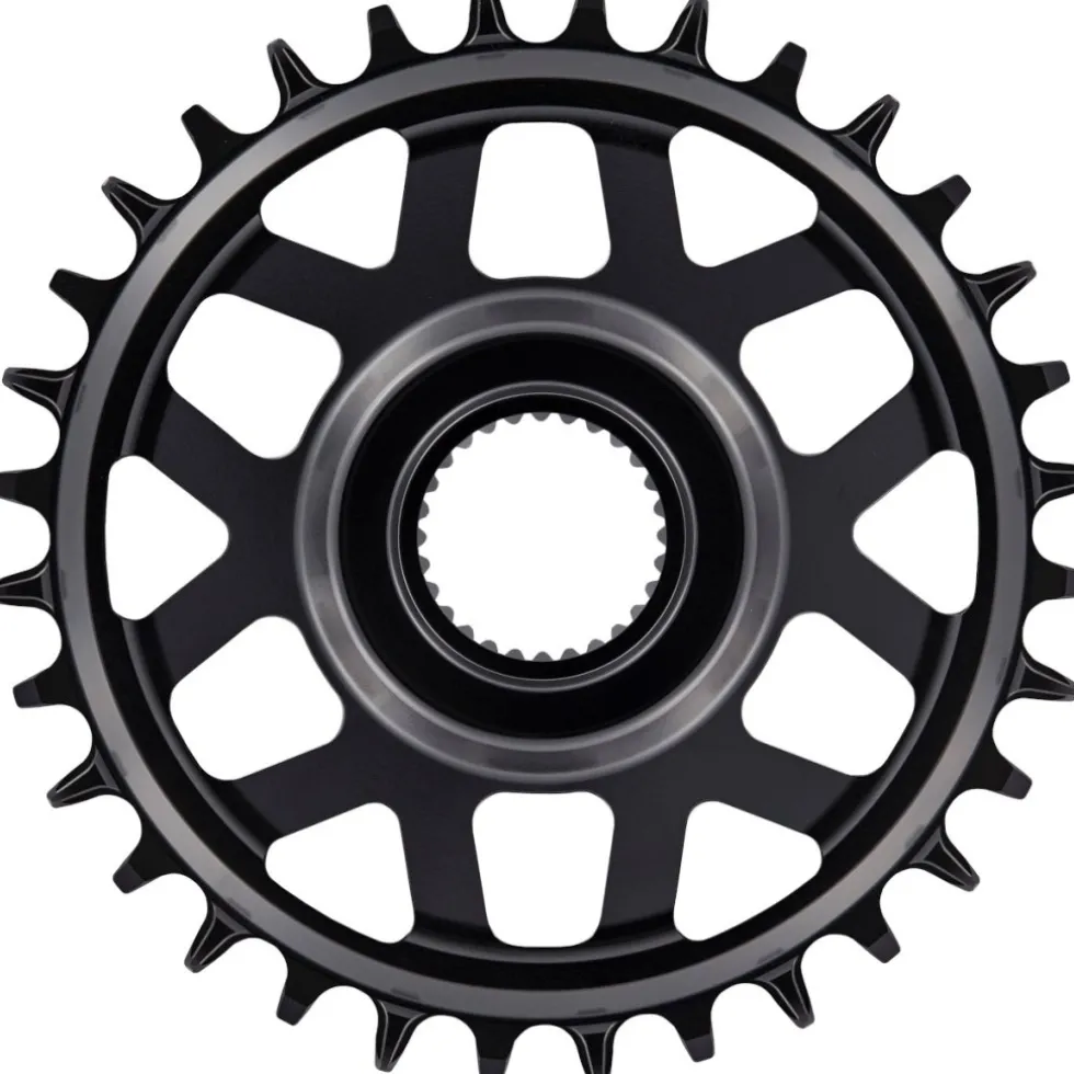 e*thirteen Helix Race e*spec - Direct Mount Kettingblad - Bosch - 15mm Offset - zwart