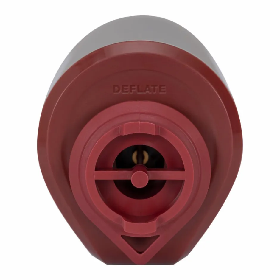 Slaapmatten < Exped Mega Pomp - granite / burgundy