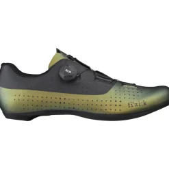 Fizik Tempo Overcurve R4 Iridescent Racefietsschoenen - beetle/zwart