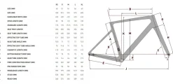 FOCUS PARALANE 8.9 - Ultegra Di2 - Carbon Racefiets - 2026 - Carbon raw matt / glossy