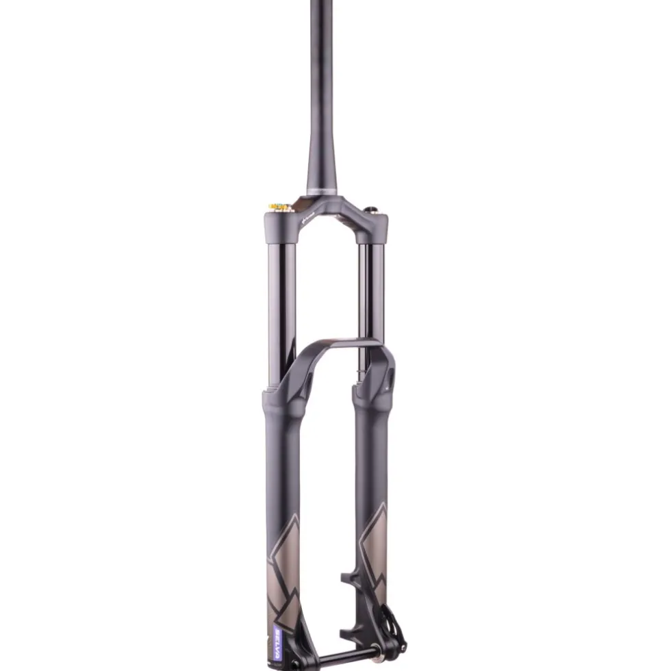 Formula Selva V Voorvork - 29" | 180mm | 110x15mm - zwart