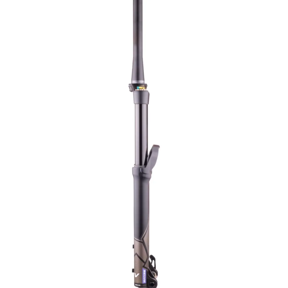 Formula Selva V Voorvork - 29" | 180mm | 110x15mm - zwart