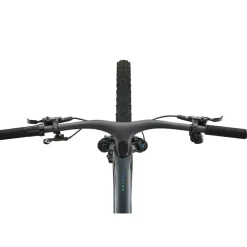 Mtb Full Suspension|Crosscountry Mountainbikes < Giant ANTHE ADVANCED S 1 - 29" Carbon TB - 2026 - rainbow back