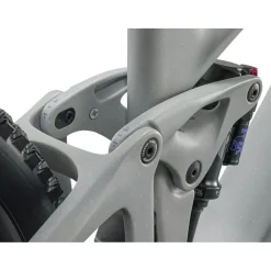 Elektrische Fietsen|Elektrische Endurofietsen < Giant REIGN ADVANCED E+ 2 - Carbon E-TB - 2026 - oon dut