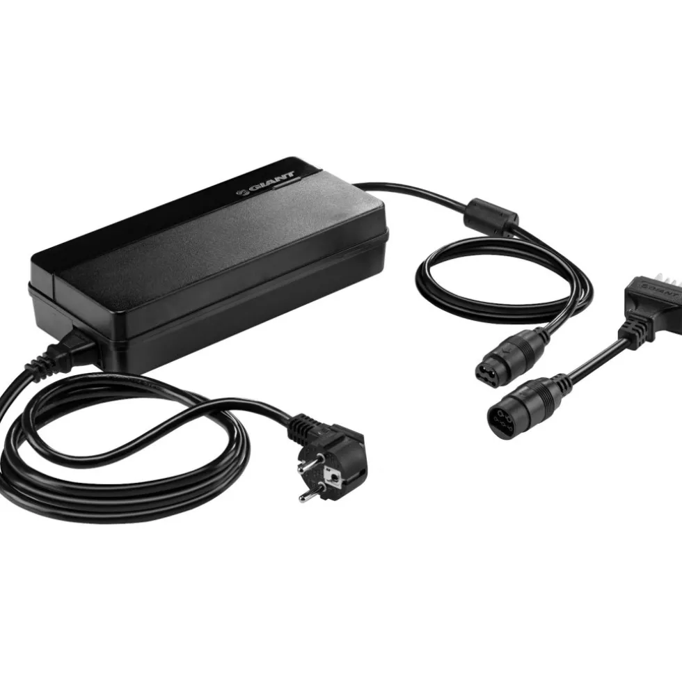 Giant Smart Charger - Oplader - 6A - 710000028