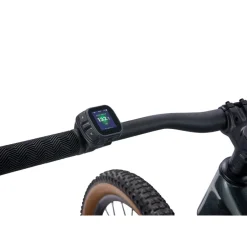Elektrische Fietsen|E-Mtb Hardtail < Giant TAON E+ GEN2 - 29" E-TB - 2026 - aphat green