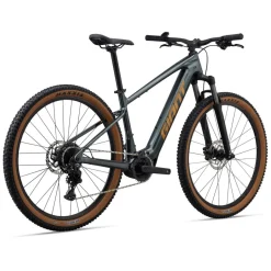 Elektrische Fietsen|E-Mtb Hardtail < Giant TAON E+ GEN2 - 29" E-TB - 2026 - aphat green
