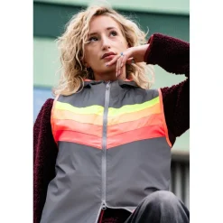 Overige Producten < Gofluo Darkfow Bodygower Veiigheidvet Dae - Grey Refective