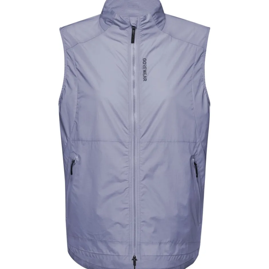 Jassen & Vesten < GOREWEAR Concurve Windbreaker Vet Dae - aethyt grey DF00