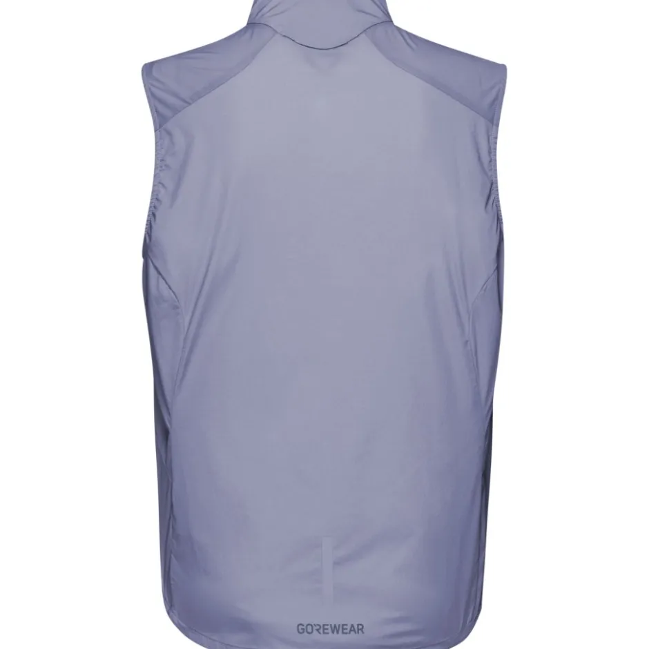 Jassen & Vesten < GOREWEAR Concurve Windbreaker Vet Dae - aethyt grey DF00