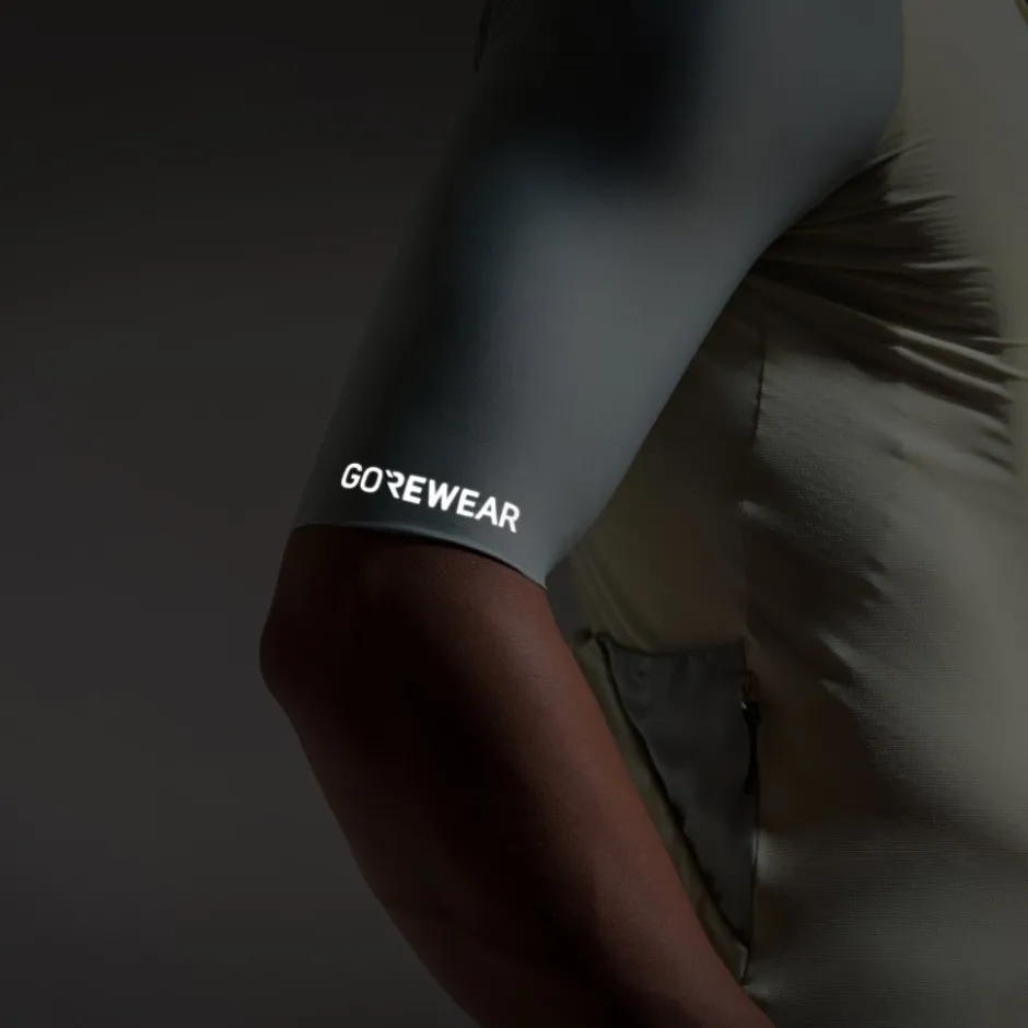 Wielershirts < GOREWEAR Ditance 2.0 Jerey Heren - tech beige / ab gray BGBF