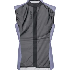 Vesten < GOREWEAR Ditance Windbreaker Vet Dae - aethyt grey DF00
