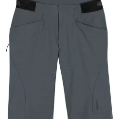 GOREWEAR Fernflow Fietsshorts Heren - lab graphite BZ00
