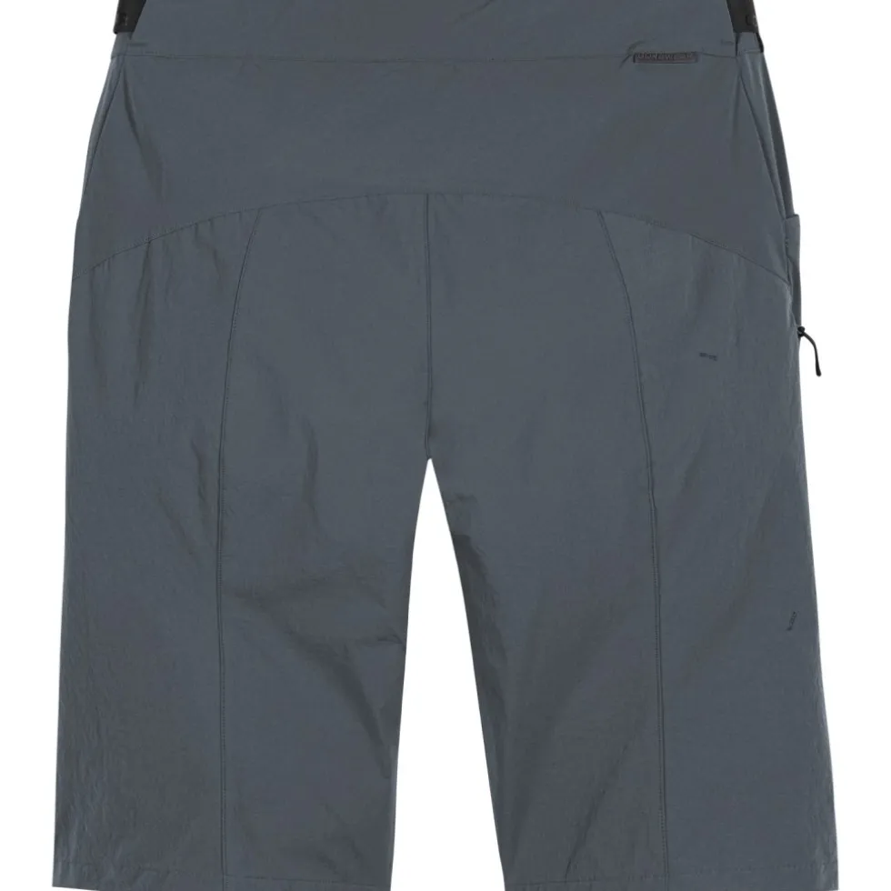 GOREWEAR Fernflow Fietsshorts Heren - lab graphite BZ00
