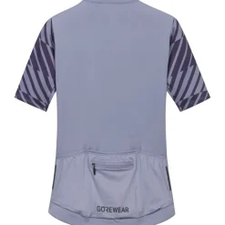 Wielershirts < GOREWEAR wiftride Optica Daefiethirt et korte ouwen - aethyt grey / purpe indigo DFDE