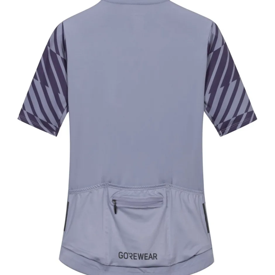 Wielershirts < GOREWEAR wiftride Optica Daefiethirt et korte ouwen - aethyt grey / purpe indigo DFDE