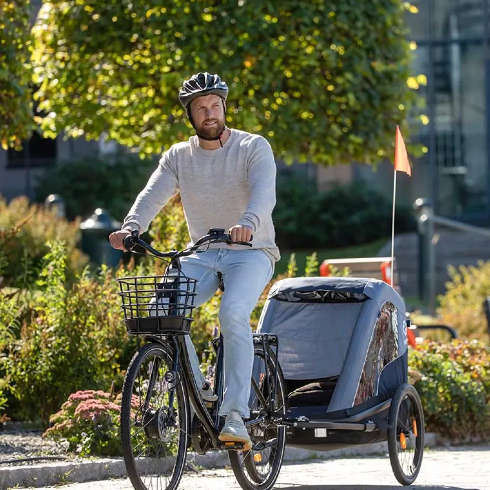 Hamax Avenida Fietskar voor 2 Kinder - Incl. dissel en buggywiel - olijfgroen