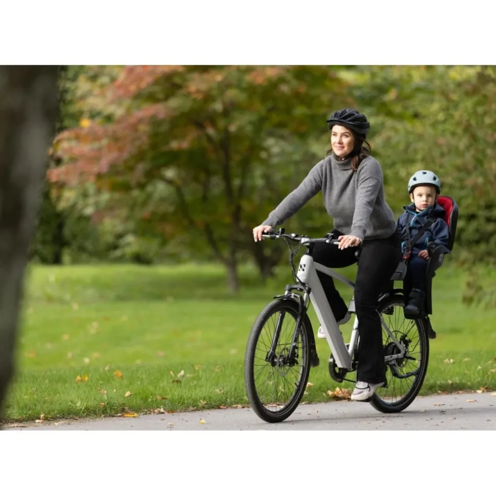 Hamax Kiss Fiets-Kinderzitje - grijs/groen