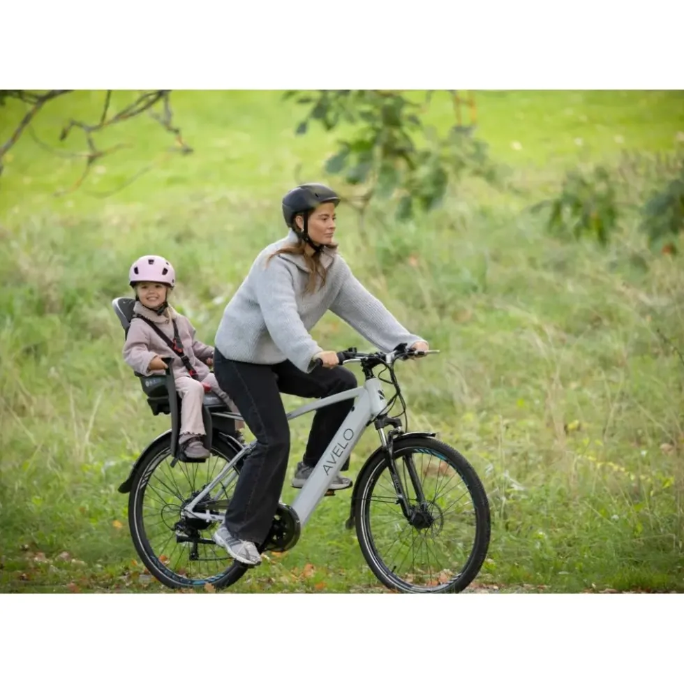 Hamax Siesta Fietsstoeltje voor Kinderen - grijs/zwart