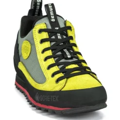 Hanwag Rotpunkt Low GTX Wandelschoenen Heren - Pistacchio/Graphite