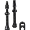 Hutchinson Tubeless Ventielen (Set van 2) - 60mm