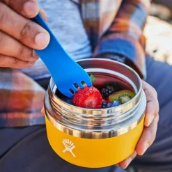 Hydro Flask 20oz Isolerende Voedselbox - 591ml - zwart