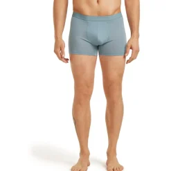 Icebreaker Merino 125 Cool-Lite™ Anatomica Boxershorts voor heren - Flint Blue